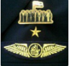   UAE National Pilot