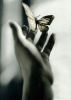 دعاء888