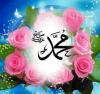 جمال ابوصهيب