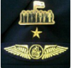 UAE National Pilot