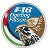 طيارf-16