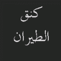 كنق الطيران