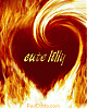 cute_lilly