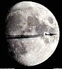 the real pilot