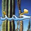 محمد عبد القادر