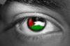 fadihammad