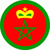مطار محمد الخامس
