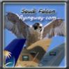 Saudi Falcon