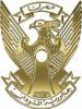 البراق300