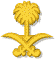 د.حسام
