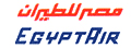 وائل العنانى