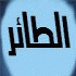 الطائر المتجول