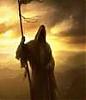 Nour83