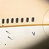 747_aiv