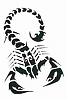 scorpionsting