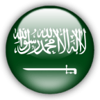 صغير بس خطير 2011