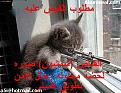اضغط على الصورة لعرض أكبر. 

الإسم:	1530.jpg 
مشاهدات:	81 
الحجم:	16.3 كيلوبايت 
الهوية:	2116538